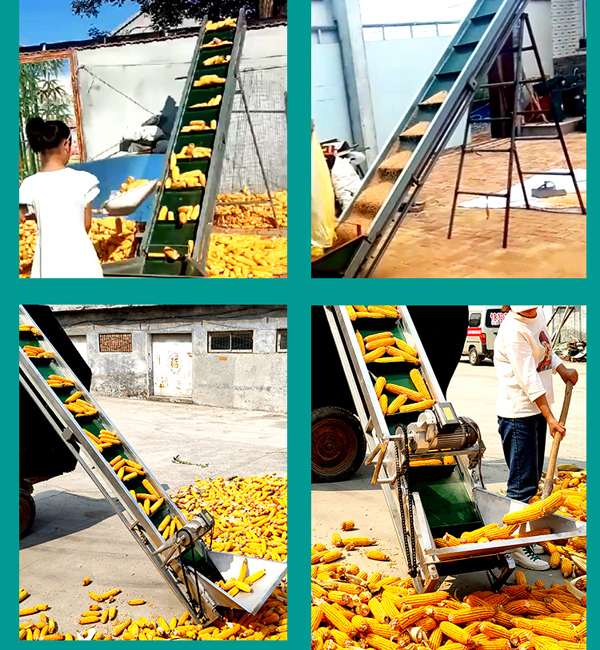 玉米棒皮帶機 玉米棒皮帶機